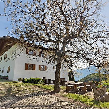 Moar Im Rumsein - Apt Etschblick San Genesio Atesino Extérieur photo